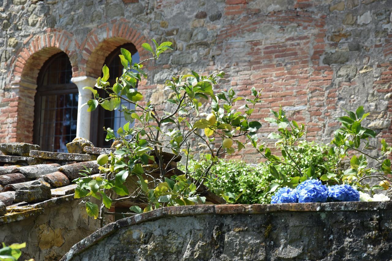 Palazzina Del Chiasso Bed & Breakfast San Martino in Freddana Ngoại thất bức ảnh