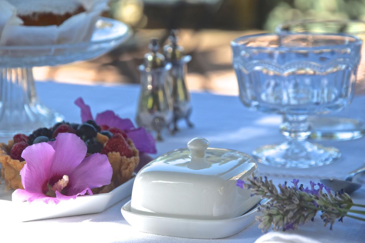 Palazzina Del Chiasso Bed & Breakfast San Martino in Freddana Ngoại thất bức ảnh